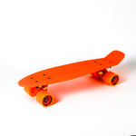 Ridge 22" Mini Cruiser BOLD Colour Range - Limited Edition