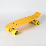 Ridge 22" Mini Cruiser BOLD Colour Range - Limited Edition